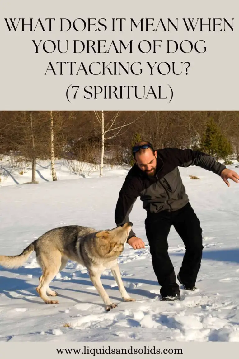 Spiritual Meaning of Dog Attack