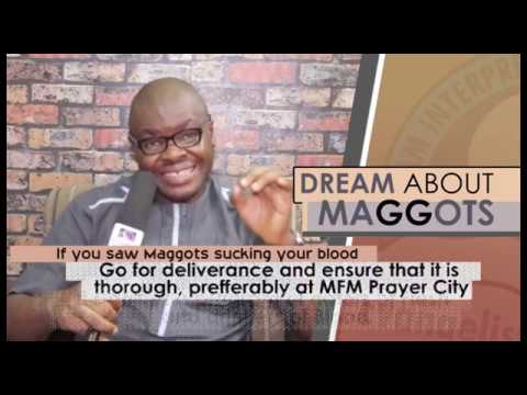 Biblical Meaning of Maggots in Dreams