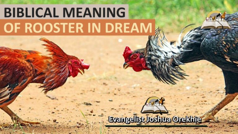 Biblical Meaning of a Rooster in a Dream: Vigilance and New Beginnings