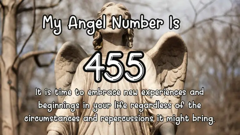 455 Angel Number Meaning