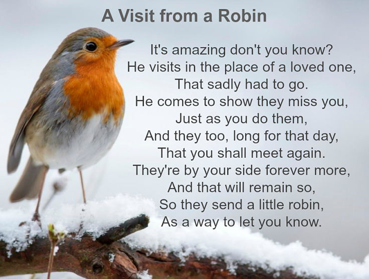 Biblical Meaning of Robin