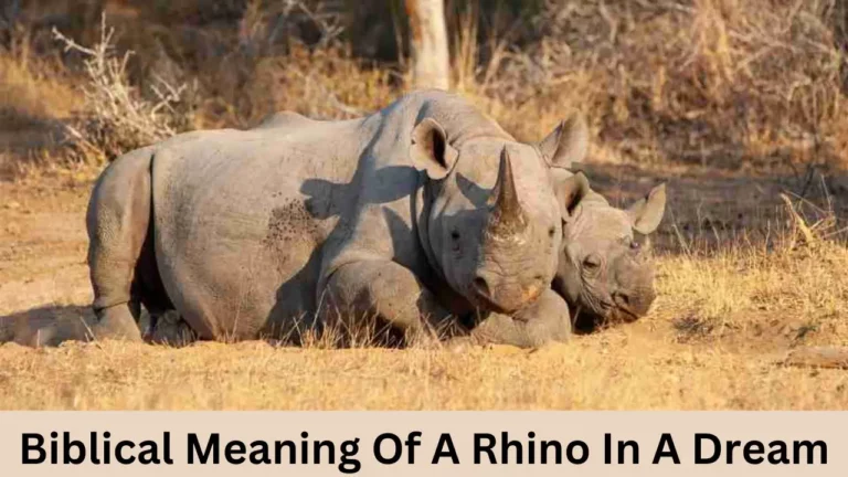 Biblical Meaning of Rhino in a Dream: Strength and Divine Protection