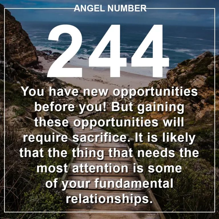 Angel Number 244 Meaning: Stability Through Harmony and Effort