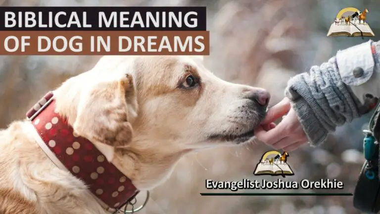 Biblical Meaning of Dog in a Dream