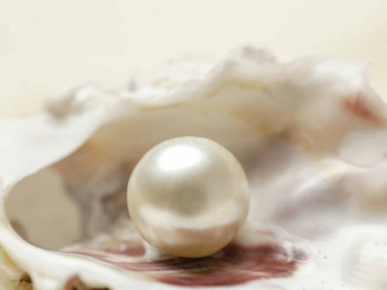 Biblical Meaning of Pearls in Dreams