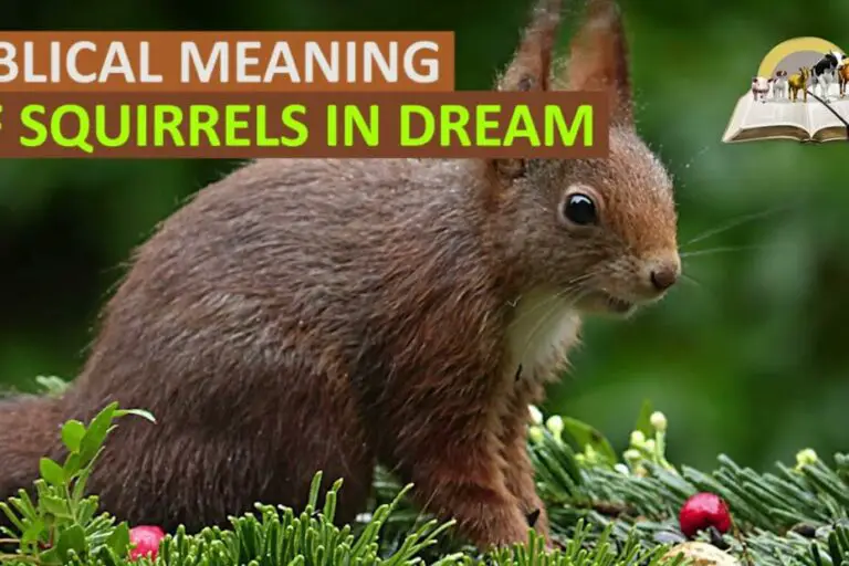 Biblical Meaning of Squirrel