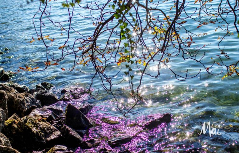 Spiritual Meaning of Purple Rain: A Guide to Transformation and Enlightenment