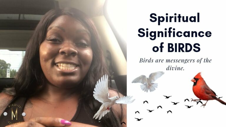 Birds Following Me Spiritual Meaning: Decoding Your Divine Guidance