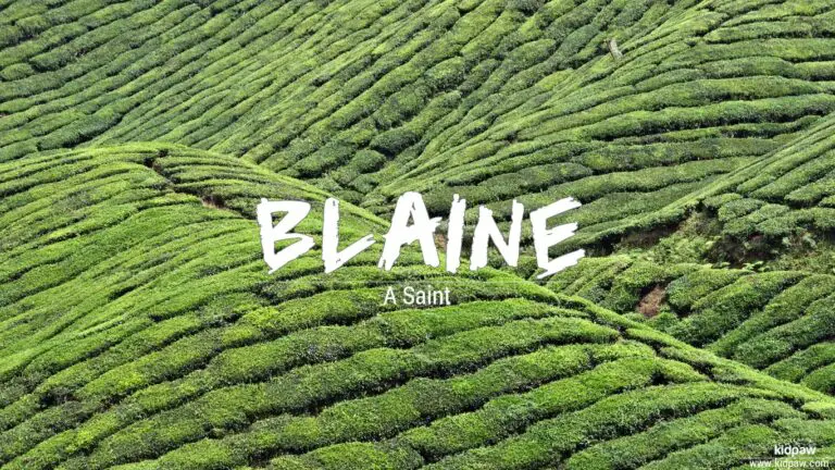 Biblical Meaning of Blaine