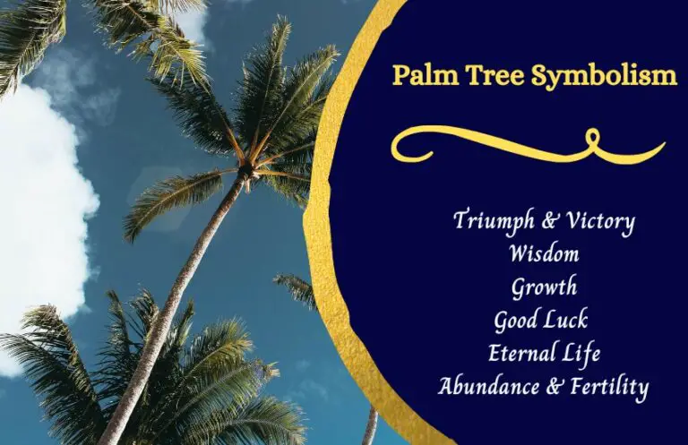 Palm Tree Symbolism And Spiritual Meaning
