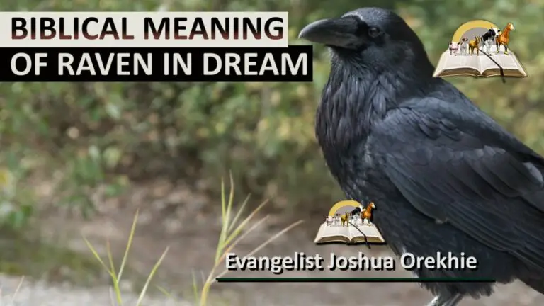 Biblical Meaning of Raven in a Dream