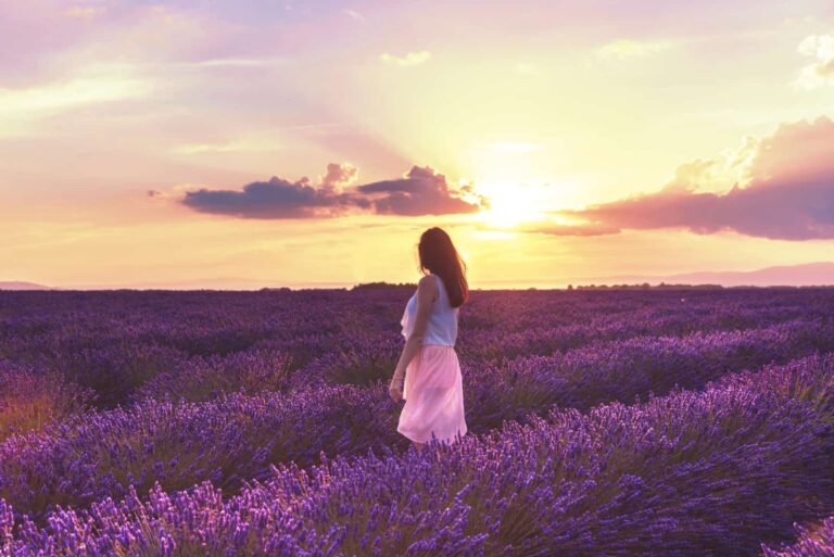 Biblical Meaning of Flowers in a Dream: A Guide to Spiritual Symbolism