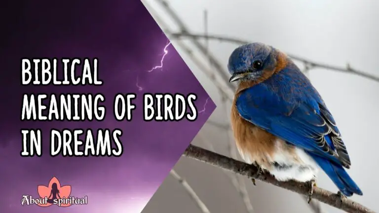 Biblical Meaning of Birds in Dreams