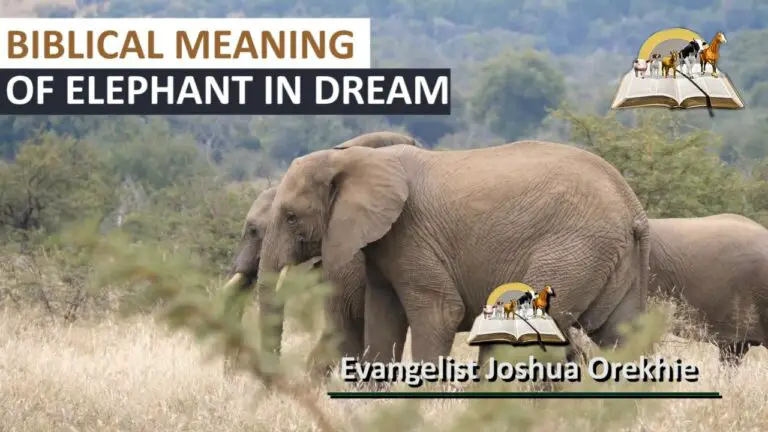 Biblical Meaning of Elephant in Dream
