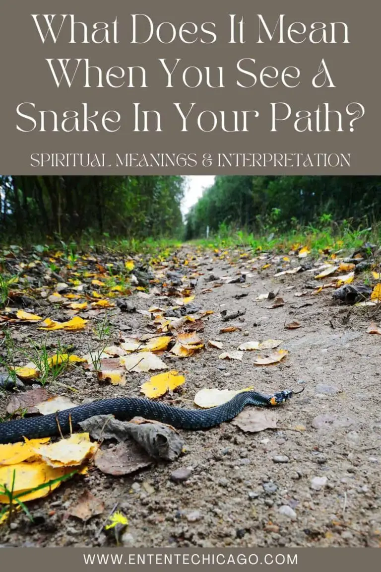 Biblical Meaning of a Snake Crossing Your Path