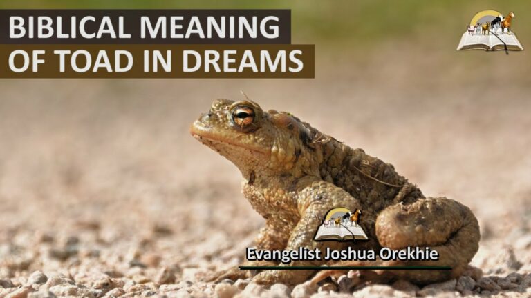 Biblical Meaning of Frogs in Dreams: Understanding Transformation and Warning