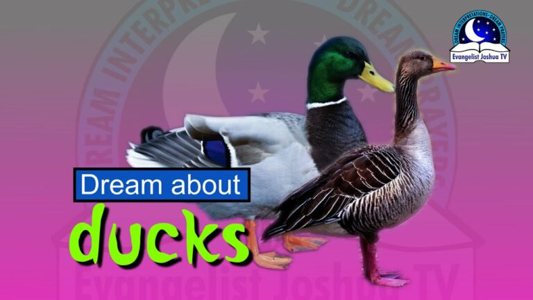 Biblical Meaning of Duck in Dreams