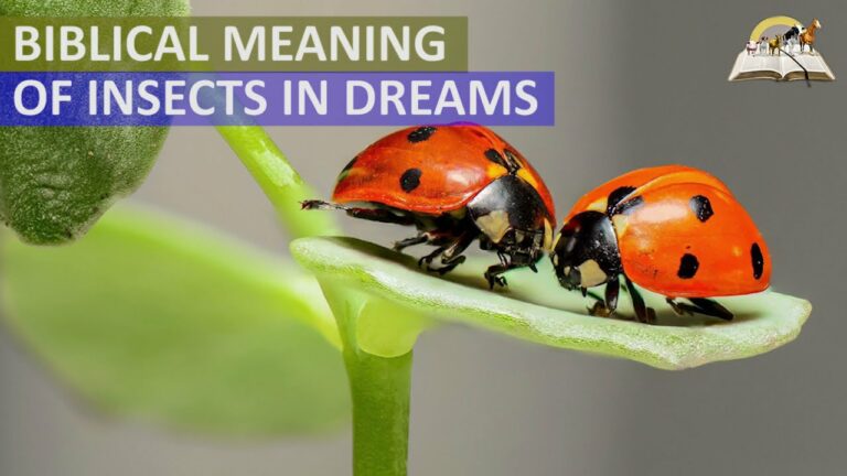 Biblical Meaning of Insects in Dreams: Understanding Divine Symbolism