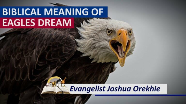 Biblical Meaning of the Eagle in Dreams: Divine Guidance and Strength
