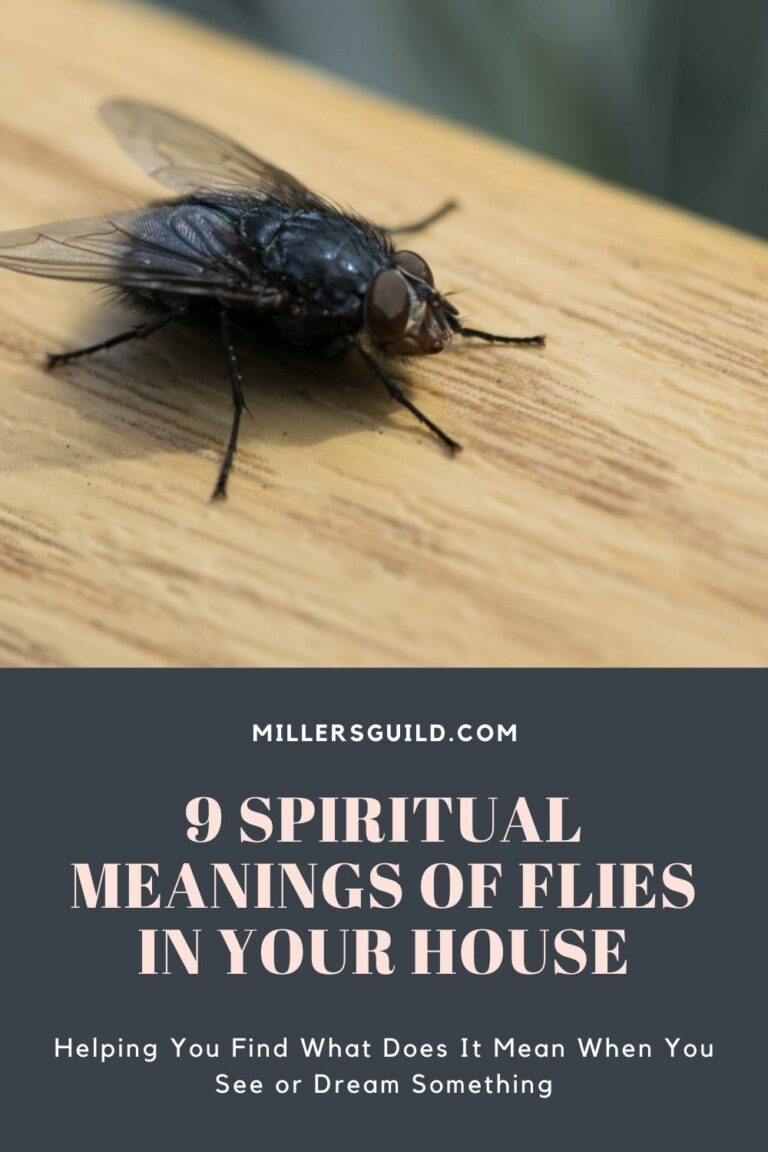 Spiritual Meaning of Flies in Your House: A Guide to Cleansing and Renewal