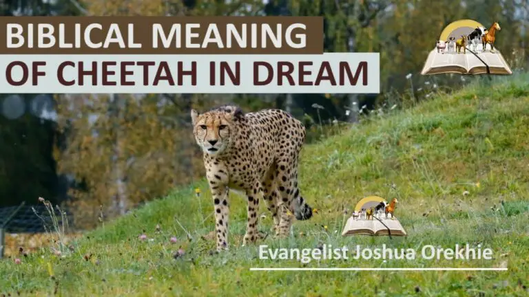 Biblical Meaning of Cheetah in Dream