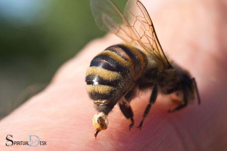 What Does It Mean When a Bee Stings You Spiritual Meaning