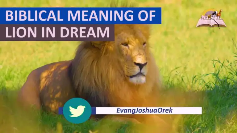 Biblical Meaning of Lion in Dreams