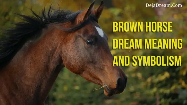 Brown Horse Spiritual Meaning