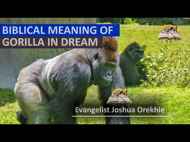 Biblical Meaning of Gorilla in a Dream