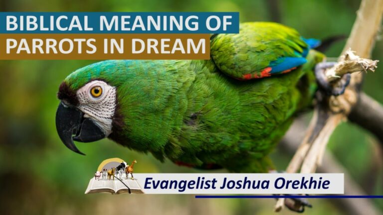 The Biblical Meaning of the Parrot: Symbolism in Scripture