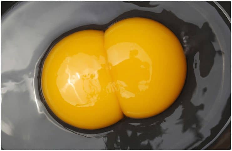 Biblical Meaning of a Double Yolk Egg: Understanding Spiritual Symbolism