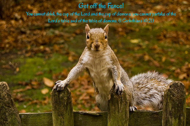 Biblical Meaning of Fence