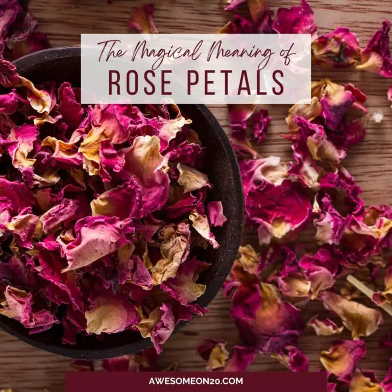 Rose Petal Spiritual Meaning
