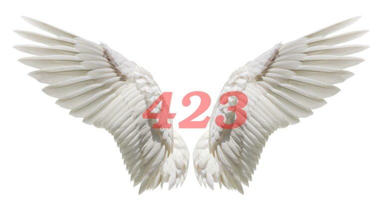 423 Angel Number Meaning