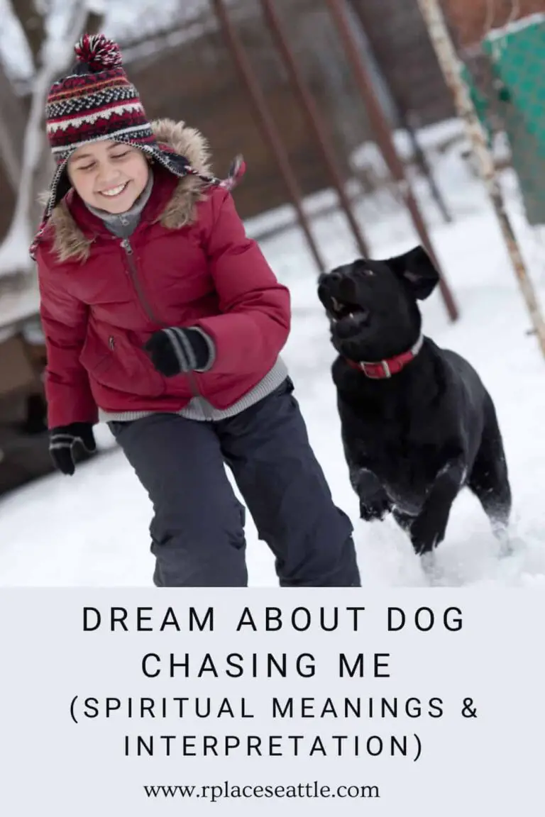 Spiritual Meaning of Dog Chasing Me in Dream