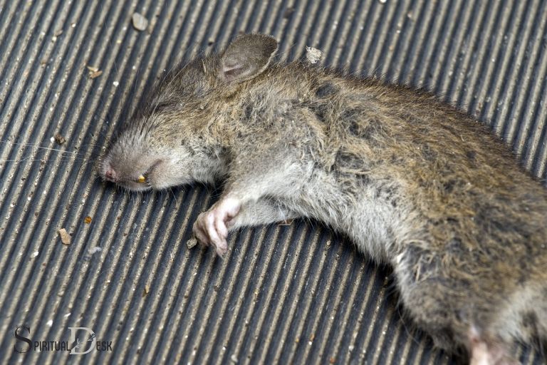 Biblical Meaning of Dead Mouse: Understanding Spiritual Symbolism