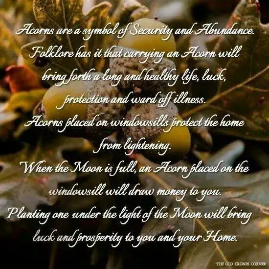 Biblical Meaning of Acorn