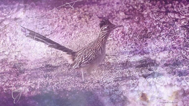 Biblical Meaning of the Roadrunner: Symbolism and Spiritual Guidance