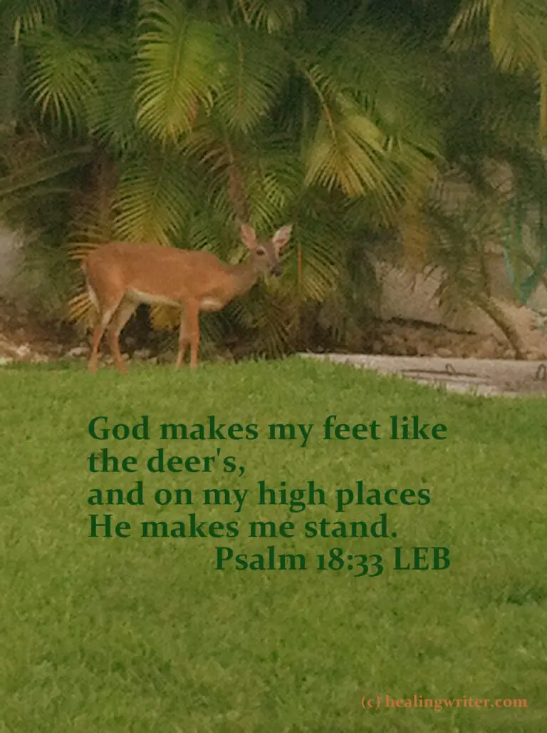 Biblical Meaning of Seeing a Deer