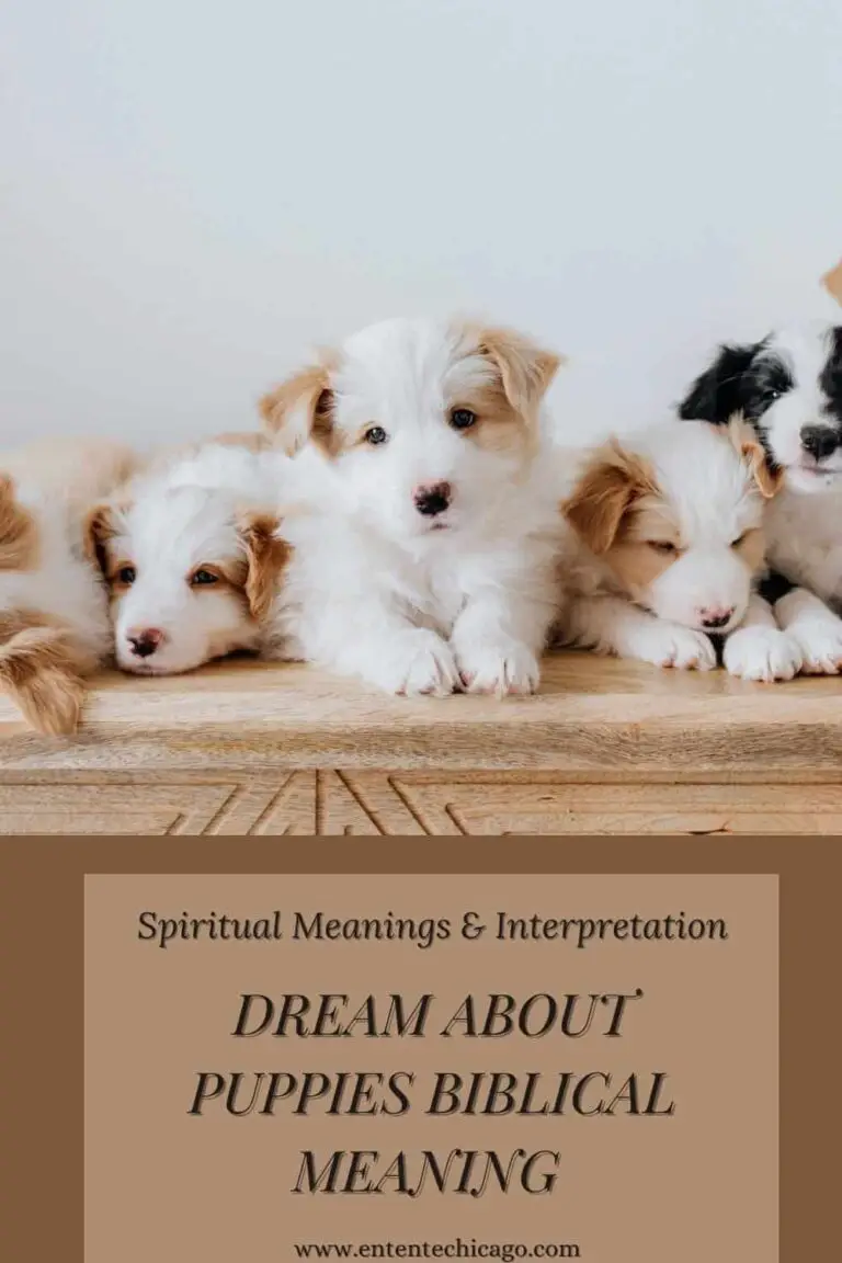 Biblical Meaning of Puppies in Dreams