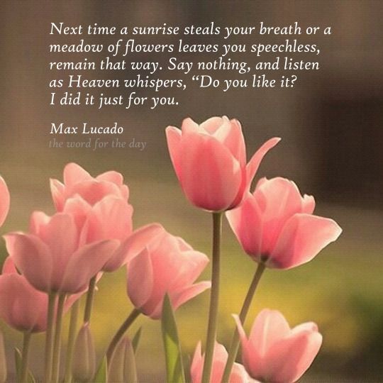 Biblical Meaning of Tulips