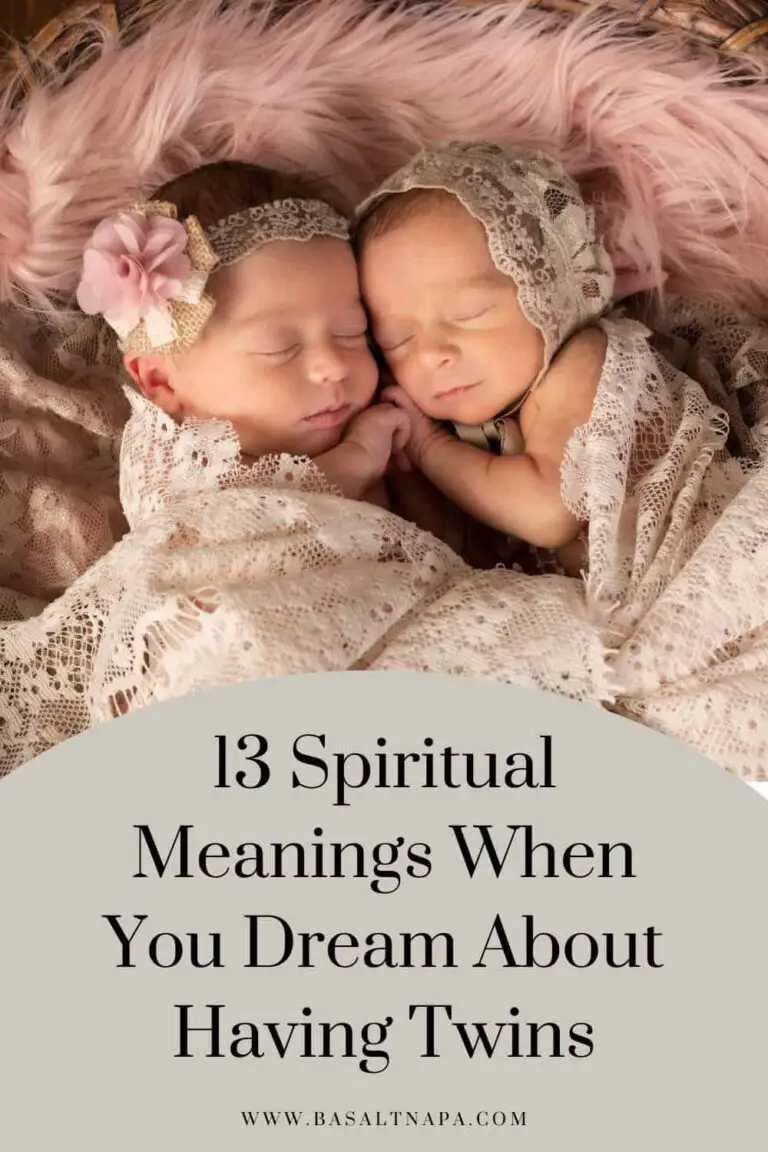 Spiritual Meaning Twins