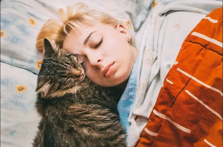 Spiritual Meaning of Kittens in Dreams