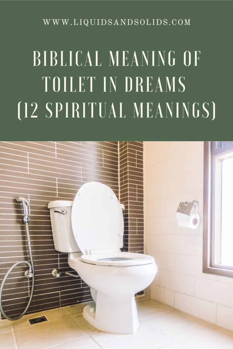 Biblical Meaning of Toilet in Dreams: Interpreting Spiritual Cleansing