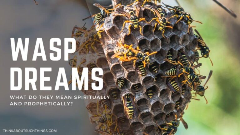Biblical Meaning of Wasps in Dreams