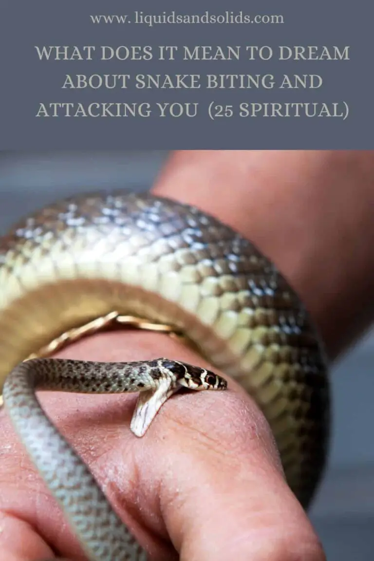 Spiritual Meaning of Snake Bite in Dream