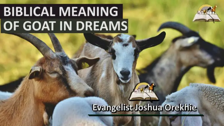 Biblical Meaning of Goat