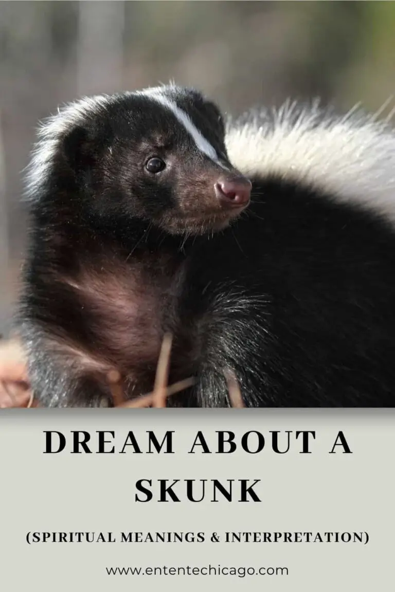 Biblical Meaning of Skunk in Dream