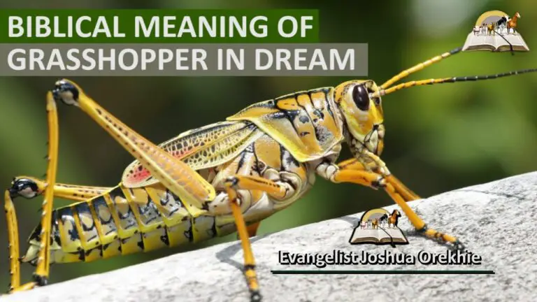 Biblical Meaning of Grasshopper