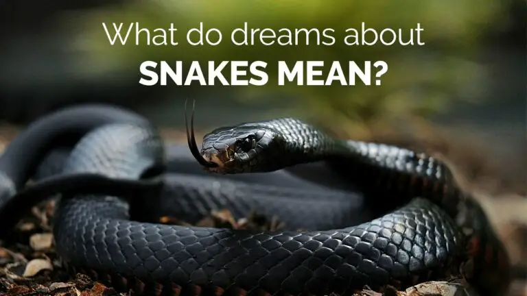 Spiritual Meaning of Snakes in Dreams Hinduism